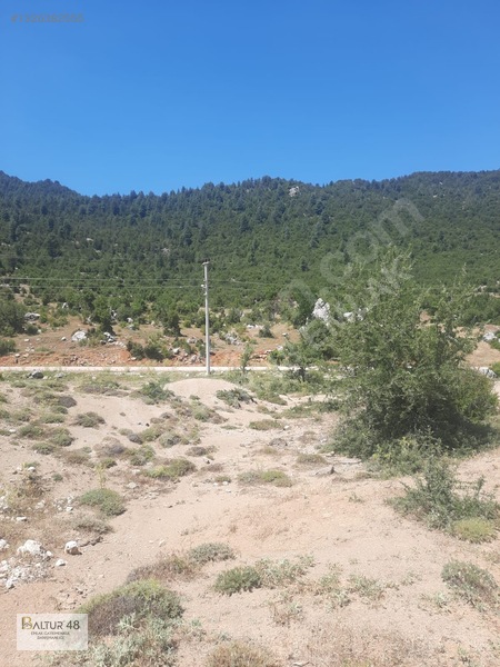 Yayla Ceylan'da 8419m² Satılık Yatırım Arazisi — fotoğraf 27