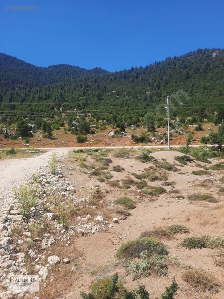 Yayla Ceylan'da 8419m² Satılık Yatırım Arazisi — fotoğraf 28