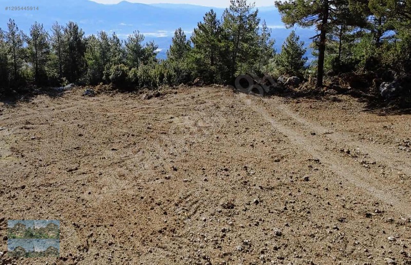 Finike'de Dev Arazi 4 Mevsim Yaşam - 15.750 M2 !... — fotoğraf 5