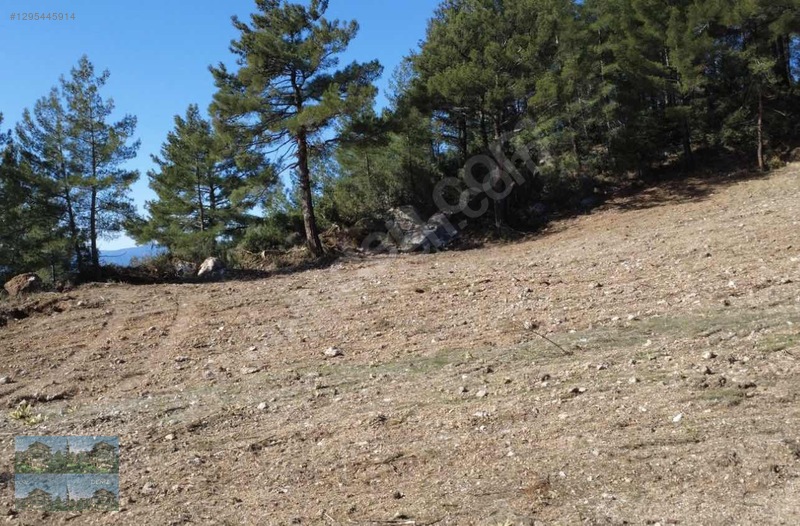 Finike'de Dev Arazi 4 Mevsim Yaşam - 15.750 M2 !... — fotoğraf 13
