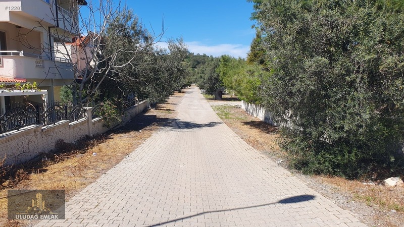 Dikili Bademli Kaçkar Sitesinde Sürekli Kiralık Villa — fotoğraf 6