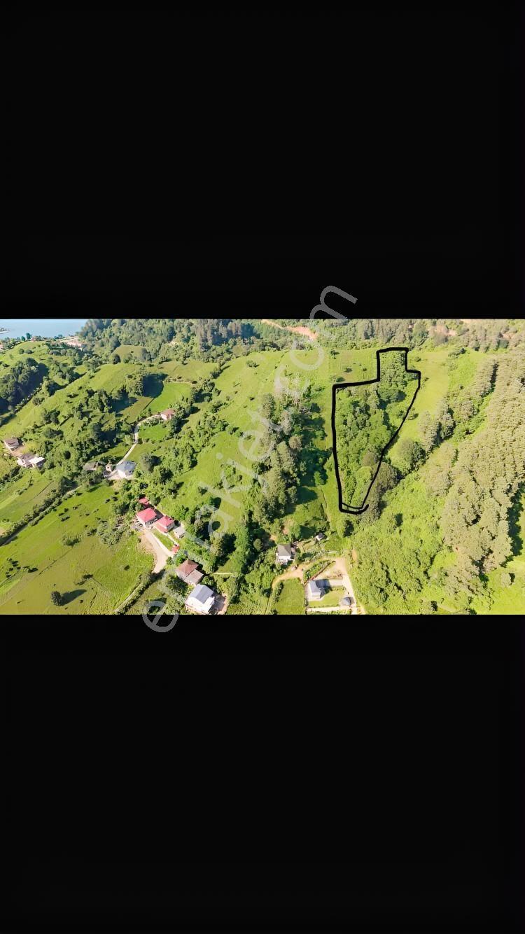 Satılık Arazi — fotoğraf 8