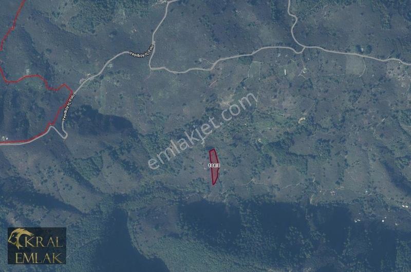Balatlı Köyünde 5300 M2 Satılık Fındık Bahçesi — fotoğraf 2