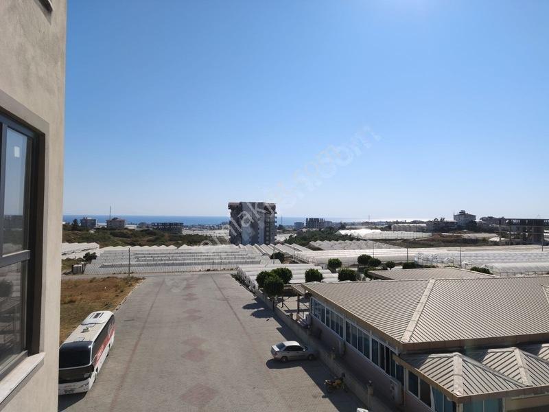 Payallar Dream Homes 1+1 Sıfır Daire Deniz Manzaralı — fotoğraf 21