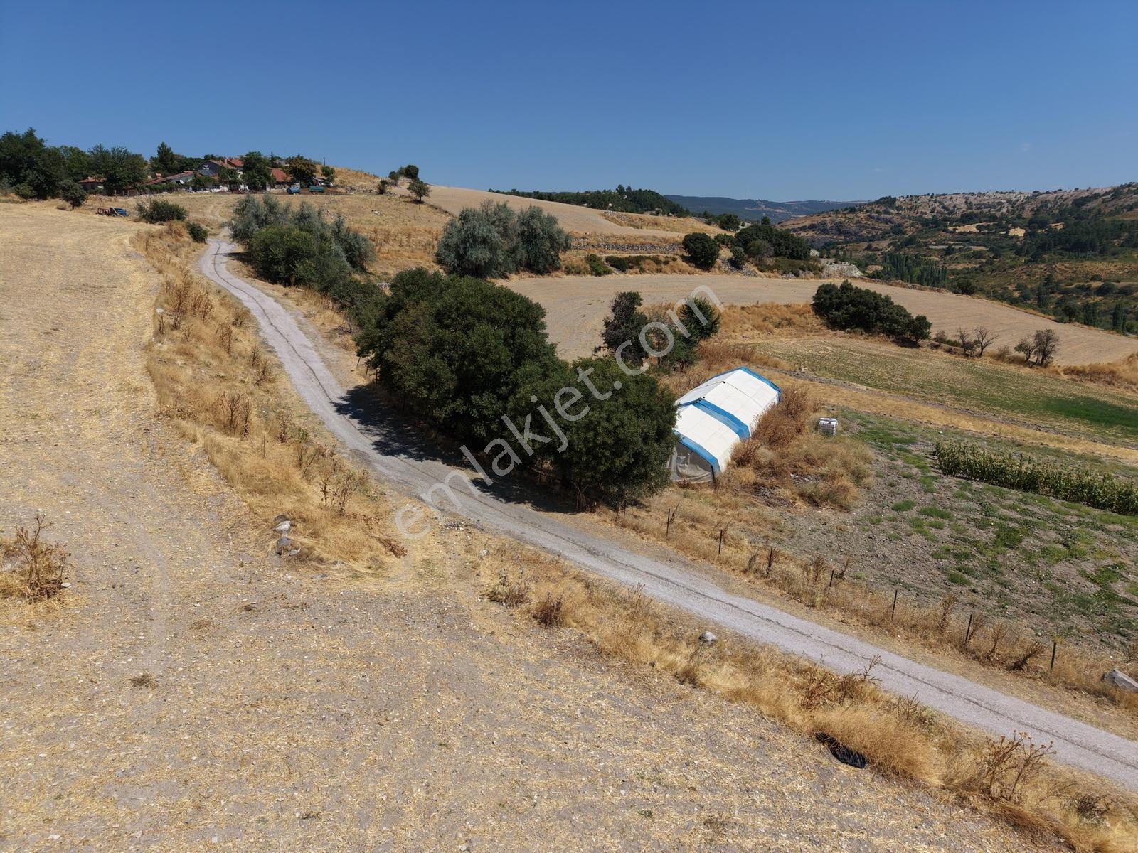 Eskigediz Hisar Manzaralı Asfalta Cephe Satılık Tarla — fotoğraf 9