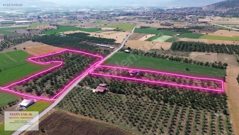 Tefenni Merkeze Sadece 6 Dk Uzakta 35 Dönüm Ceviz Bahçesi