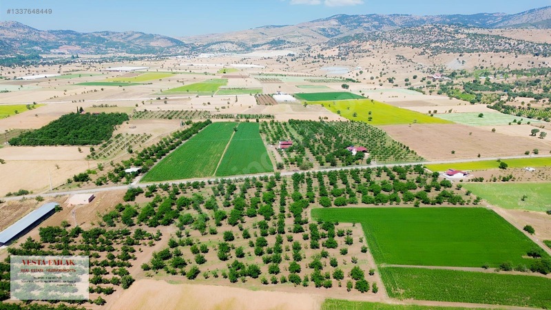 Tefenni Merkeze Sadece 6 Dk Uzakta 35 Dönüm Ceviz Bahçesi — fotoğraf 12