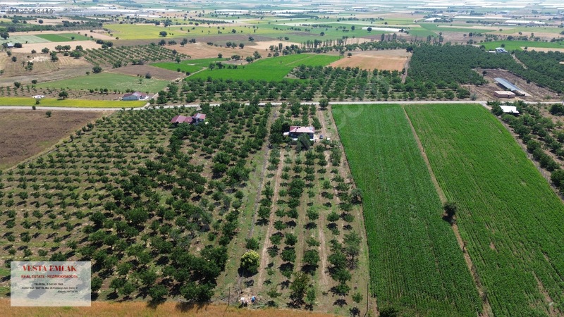 Tefenni Merkeze Sadece 6 Dk Uzakta 35 Dönüm Ceviz Bahçesi — fotoğraf 13
