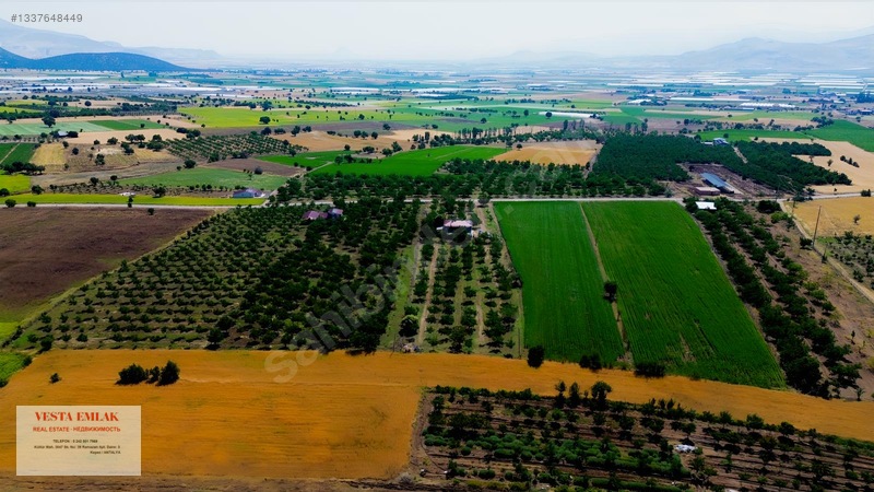 Tefenni Merkeze Sadece 6 Dk Uzakta 35 Dönüm Ceviz Bahçesi — fotoğraf 16