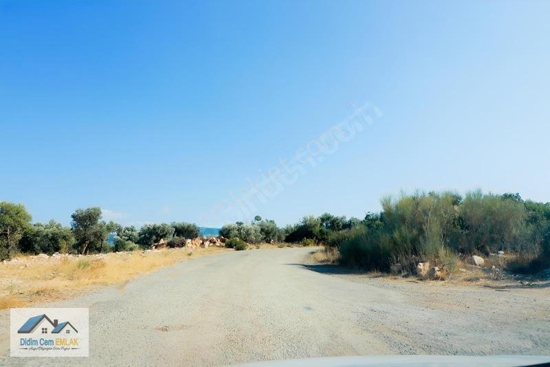 Didim Cem Emlak Tan Fevzipaşa Da Satılık 241 M2 Arsa — fotoğraf 15
