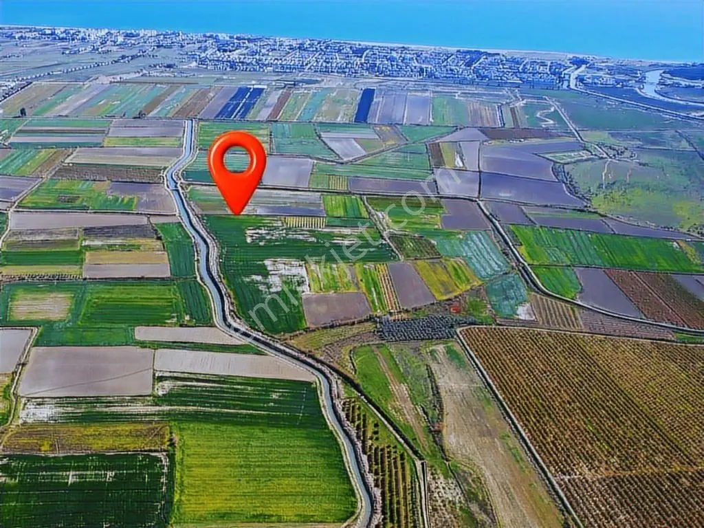 Osman Akça'dan Denize Yakın 8895 M2 Tek Tapu Tarla — fotoğraf 2