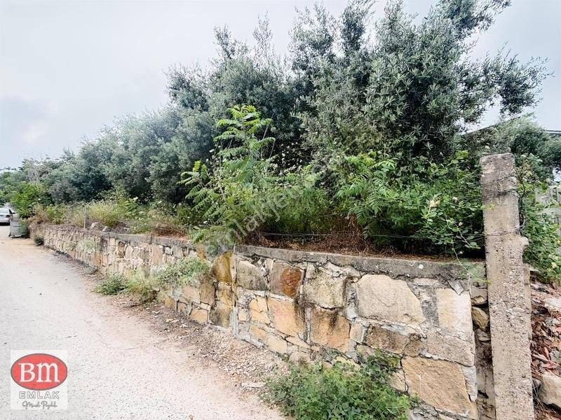 Mersin Dalakderesinde Yola Cephelı 950 M2 Satılık Arsa
