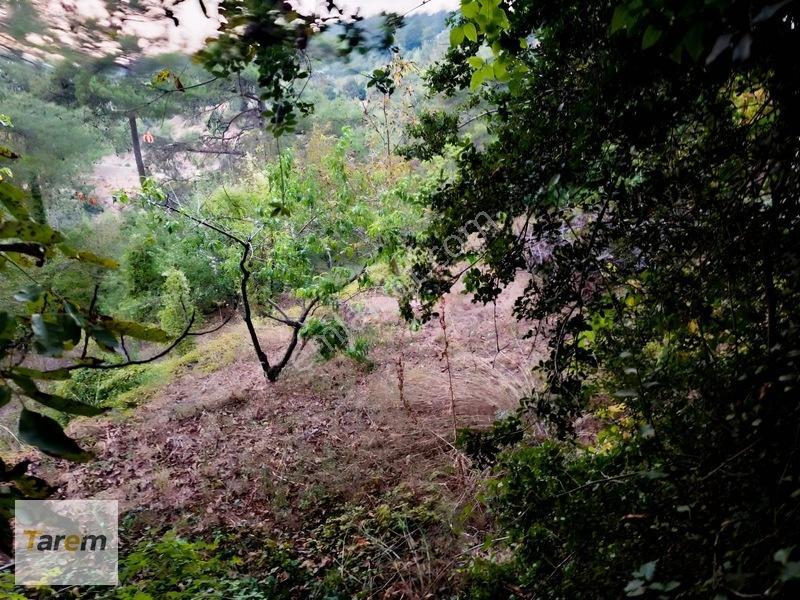 Tarsus Çamalan Çukurbağ Çatalçeşmede Satılık Arsa — fotoğraf 2