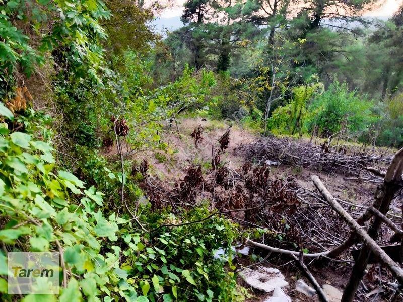 Tarsus Çamalan Çukurbağ Çatalçeşmede Satılık Arsa — fotoğraf 3
