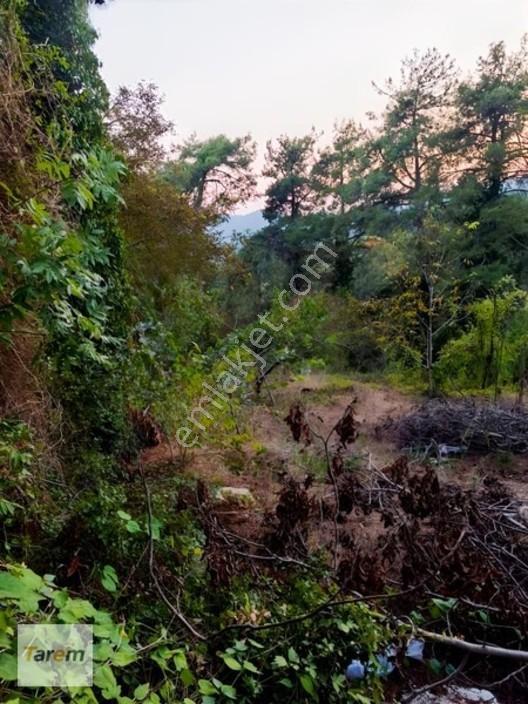 Tarsus Çamalan Çukurbağ Çatalçeşmede Satılık Arsa — fotoğraf 4