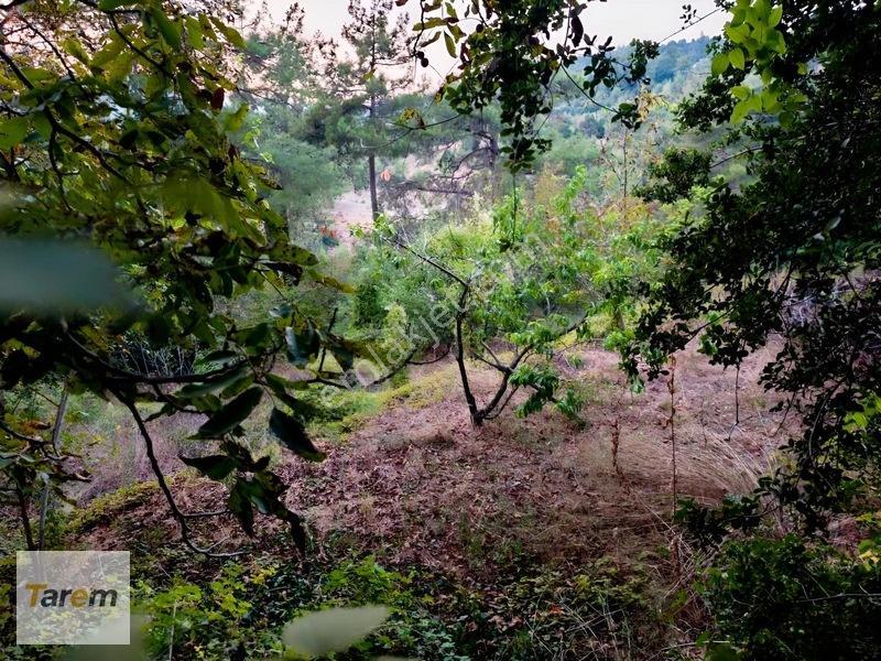 Tarsus Çamalan Çukurbağ Çatalçeşmede Satılık Arsa — fotoğraf 6