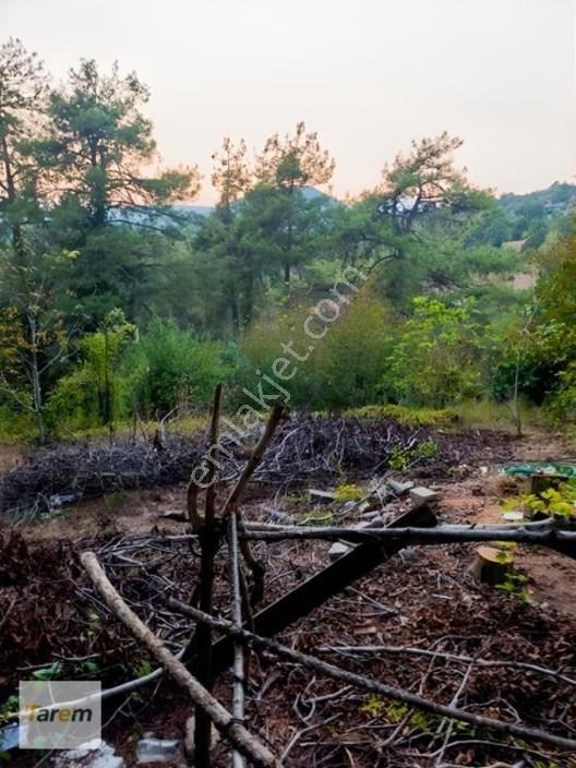 Tarsus Çamalan Çukurbağ Çatalçeşmede Satılık Arsa — fotoğraf 7