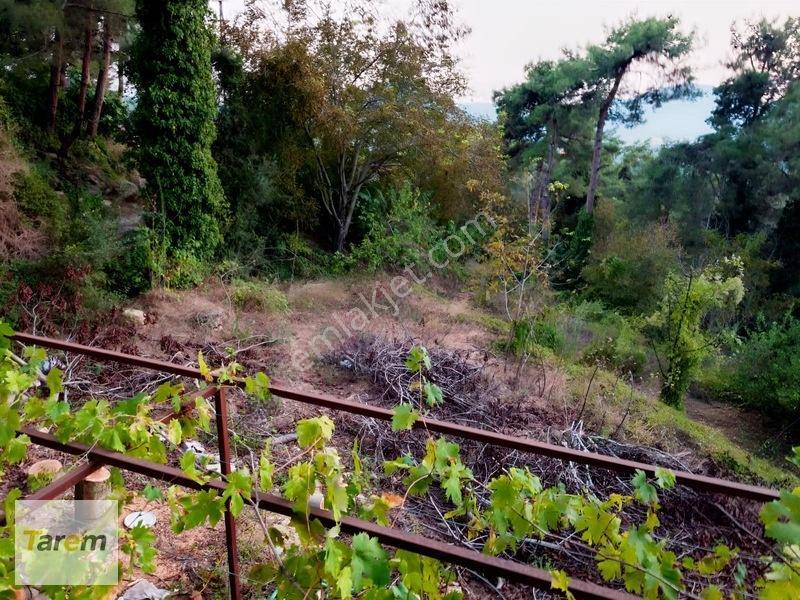 Tarsus Çamalan Çukurbağ Çatalçeşmede Satılık Arsa — fotoğraf 8