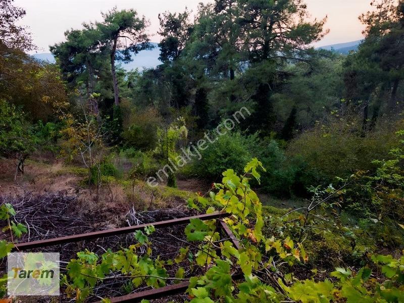Tarsus Çamalan Çukurbağ Çatalçeşmede Satılık Arsa — fotoğraf 9
