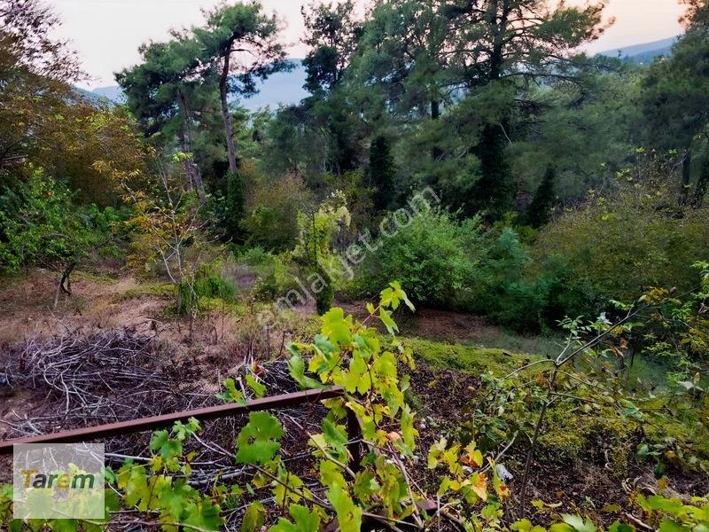 Tarsus Çamalan Çukurbağ Çatalçeşmede Satılık Arsa — fotoğraf 10