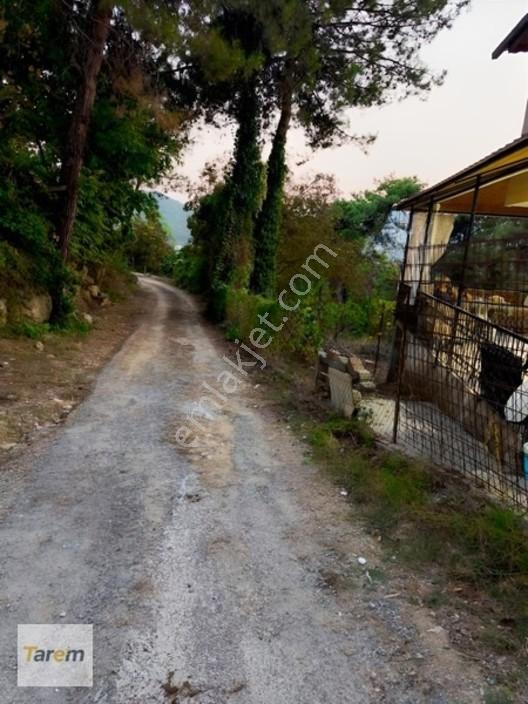 Tarsus Çamalan Çukurbağ Çatalçeşmede Satılık Arsa — fotoğraf 11