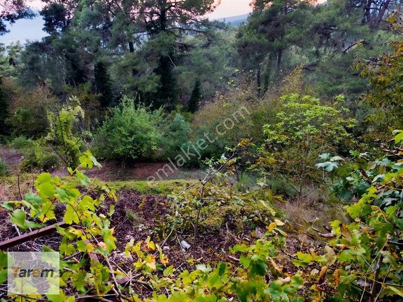 Tarsus Çamalan Çukurbağ Çatalçeşmede Satılık Arsa — fotoğraf 12