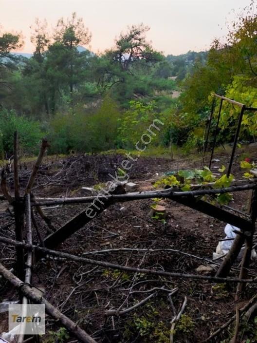 Tarsus Çamalan Çukurbağ Çatalçeşmede Satılık Arsa — fotoğraf 13