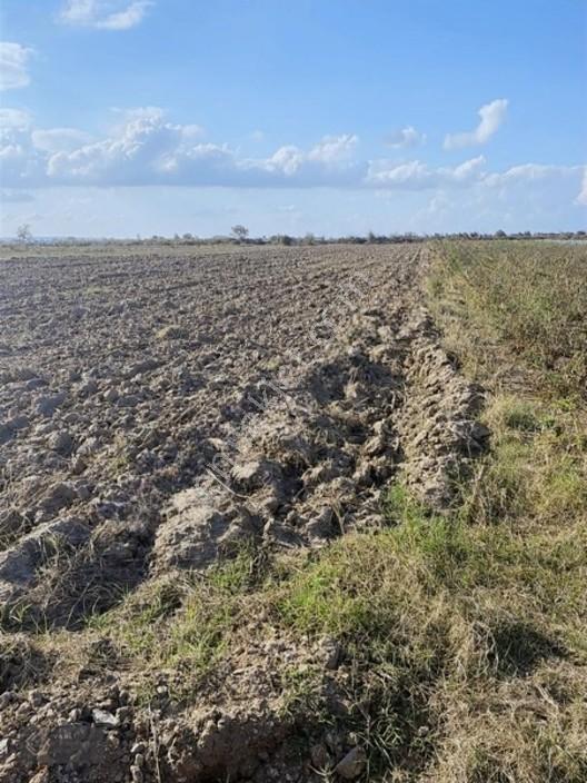 Mustafa Kemalpaşa'da Yamanlı'da Uluabat Gölü'ne Yakın 2.823 M² — fotoğraf 2