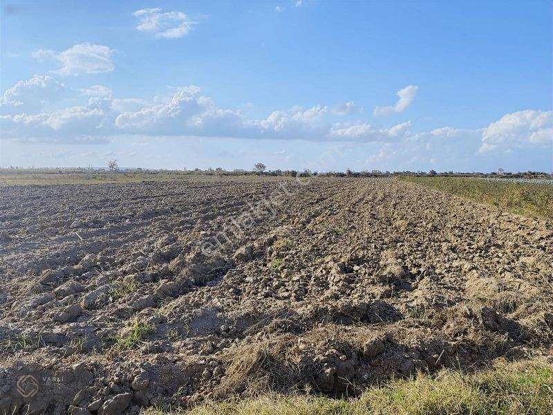 Mustafa Kemalpaşa'da Yamanlı'da Uluabat Gölü'ne Yakın 2.823 M² — fotoğraf 7
