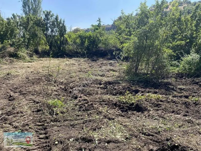Meram Güneydere De 941 Metre Müstakil Tapulu Bahçelik Yer — fotoğraf 2
