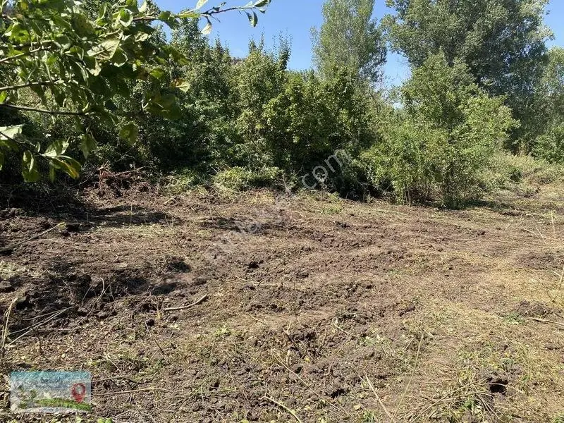 Meram Güneydere De 941 Metre Müstakil Tapulu Bahçelik Yer — fotoğraf 3