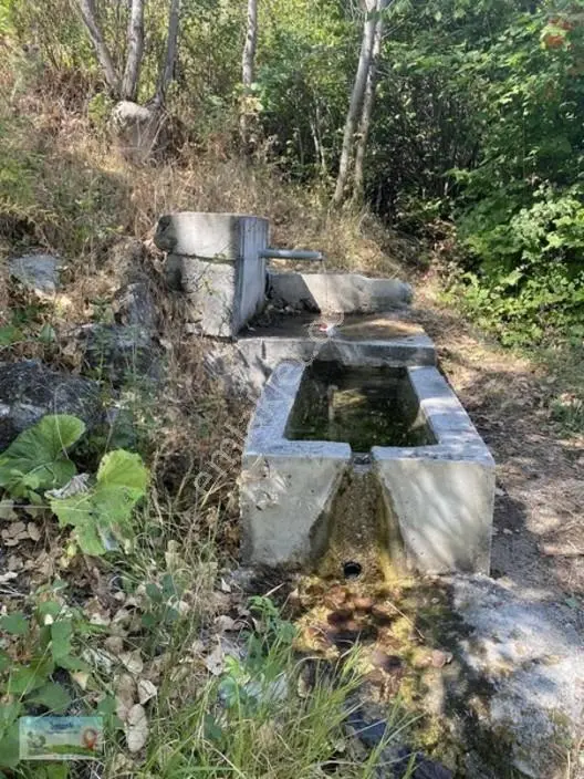 Meram Güneydere De 941 Metre Müstakil Tapulu Bahçelik Yer — fotoğraf 4