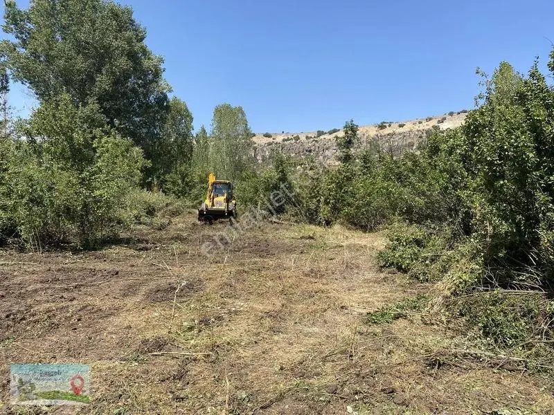 Meram Güneydere De 941 Metre Müstakil Tapulu Bahçelik Yer — fotoğraf 5