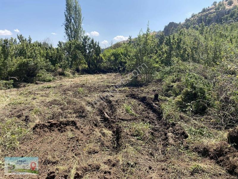 Meram Güneydere De 941 Metre Müstakil Tapulu Bahçelik Yer — fotoğraf 6