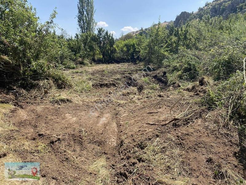 Meram Güneydere De 941 Metre Müstakil Tapulu Bahçelik Yer — fotoğraf 7