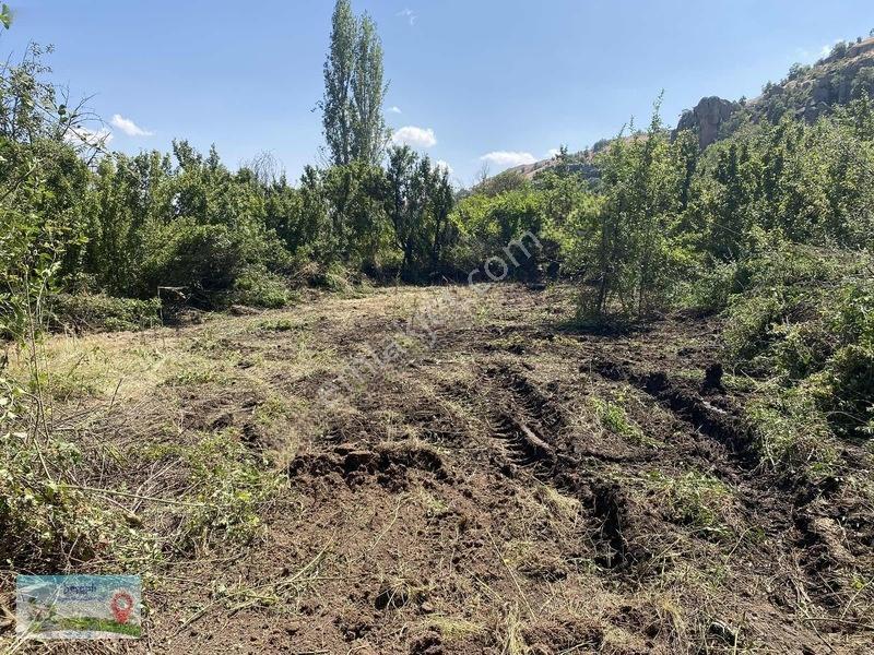 Meram Güneydere De 941 Metre Müstakil Tapulu Bahçelik Yer — fotoğraf 8