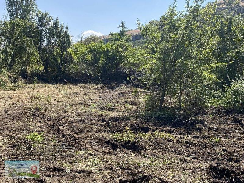 Meram Güneydere De 941 Metre Müstakil Tapulu Bahçelik Yer — fotoğraf 9
