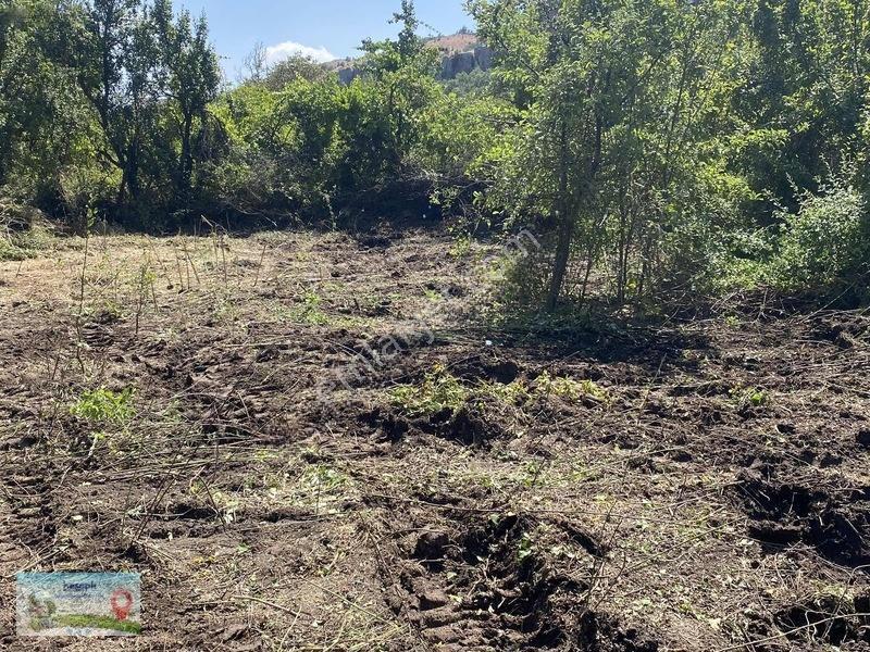 Meram Güneydere De 941 Metre Müstakil Tapulu Bahçelik Yer — fotoğraf 10