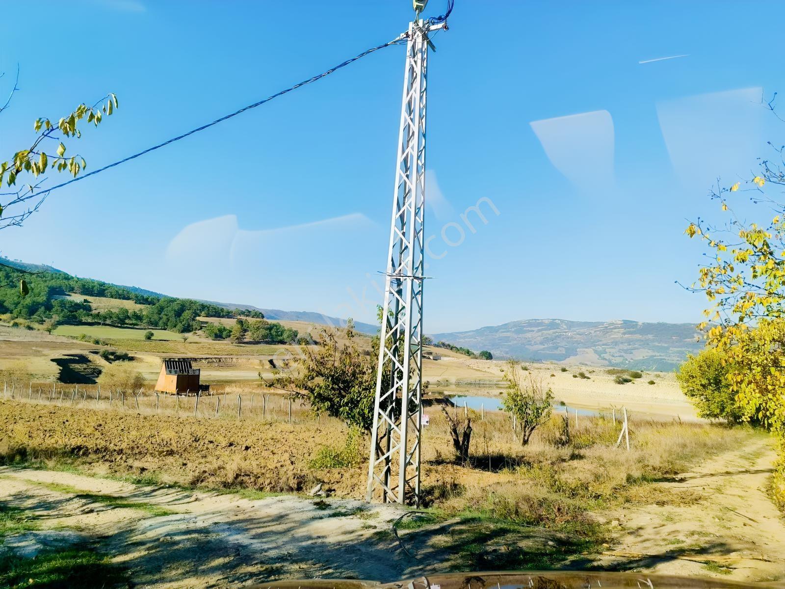 Geyve Akdoğan Doğramacılarda Baraj Manzaralı Yatırımlık — fotoğraf 6