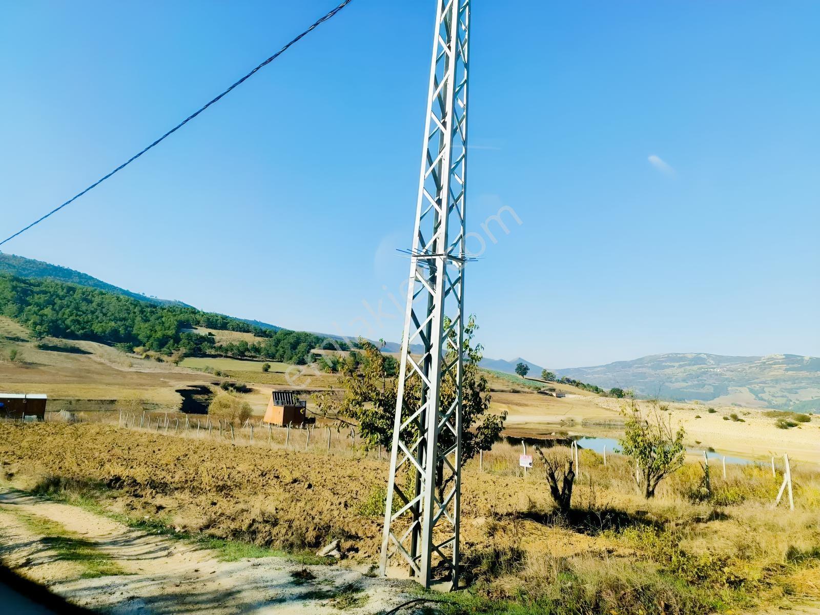 Geyve Akdoğan Doğramacılarda Baraj Manzaralı Yatırımlık — fotoğraf 7