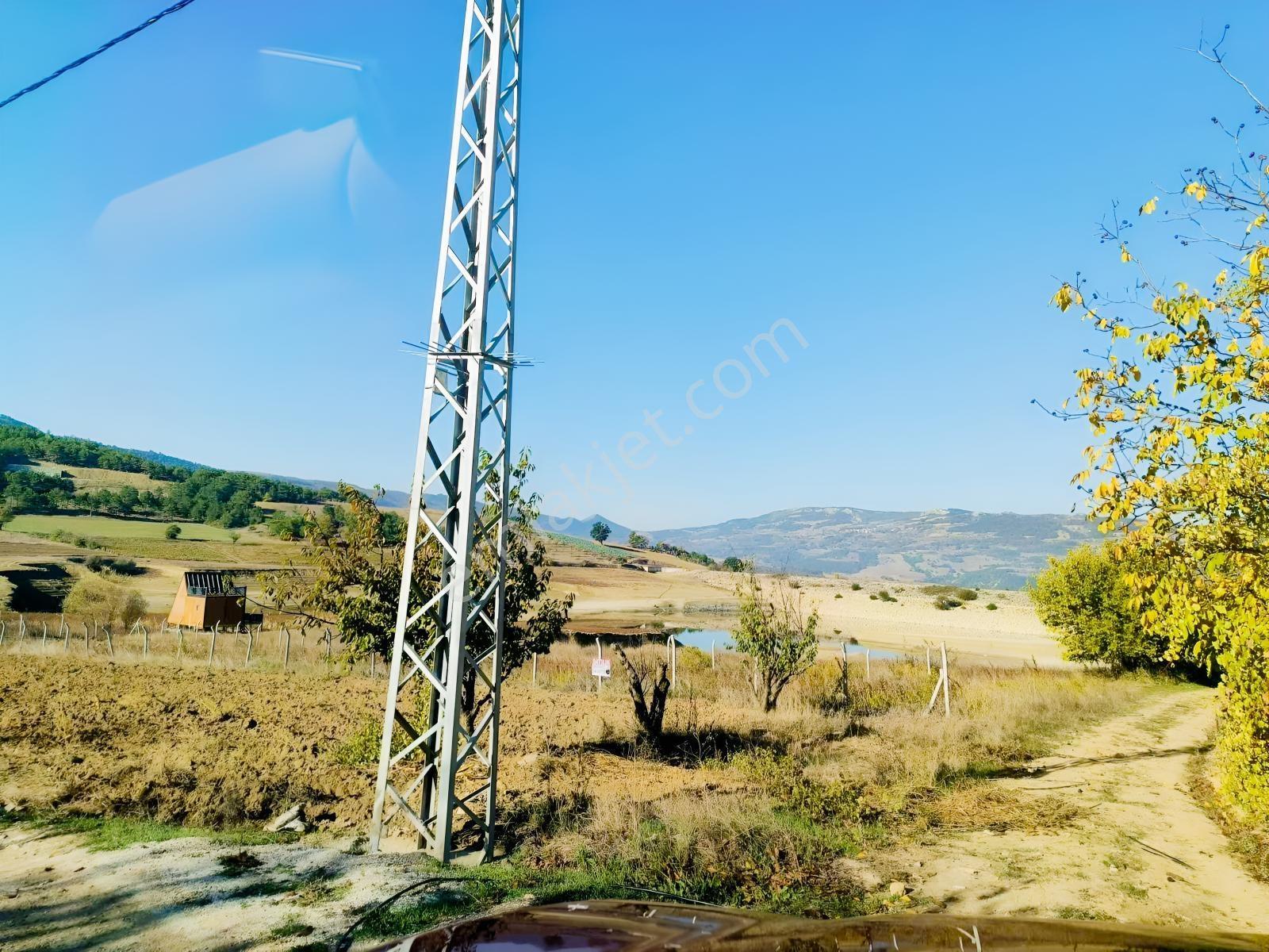 Geyve Akdoğan Doğramacılarda Baraj Manzaralı Yatırımlık — fotoğraf 8