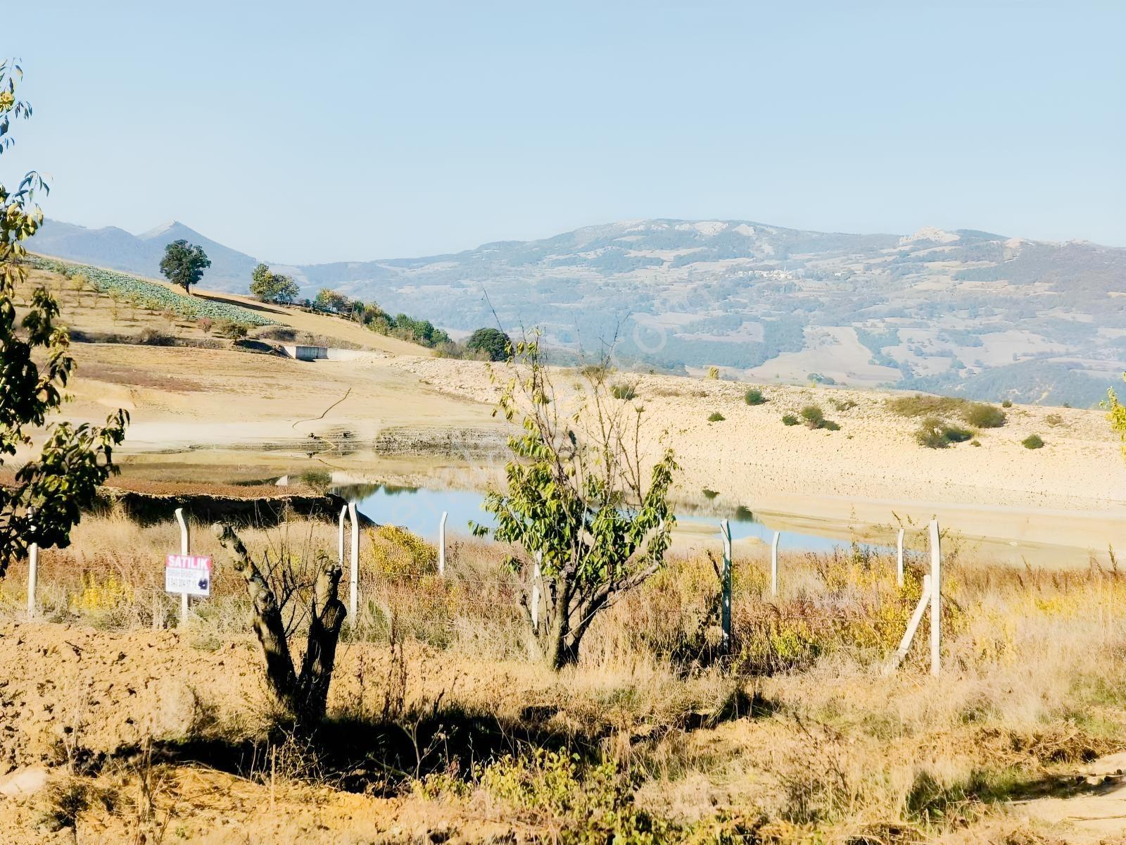 Geyve Akdoğan Doğramacılarda Baraj Manzaralı Yatırımlık — fotoğraf 9