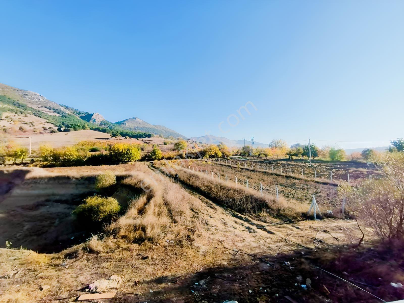 Geyve Akdoğan Doğramacılarda Baraj Manzaralı Yatırımlık — fotoğraf 11