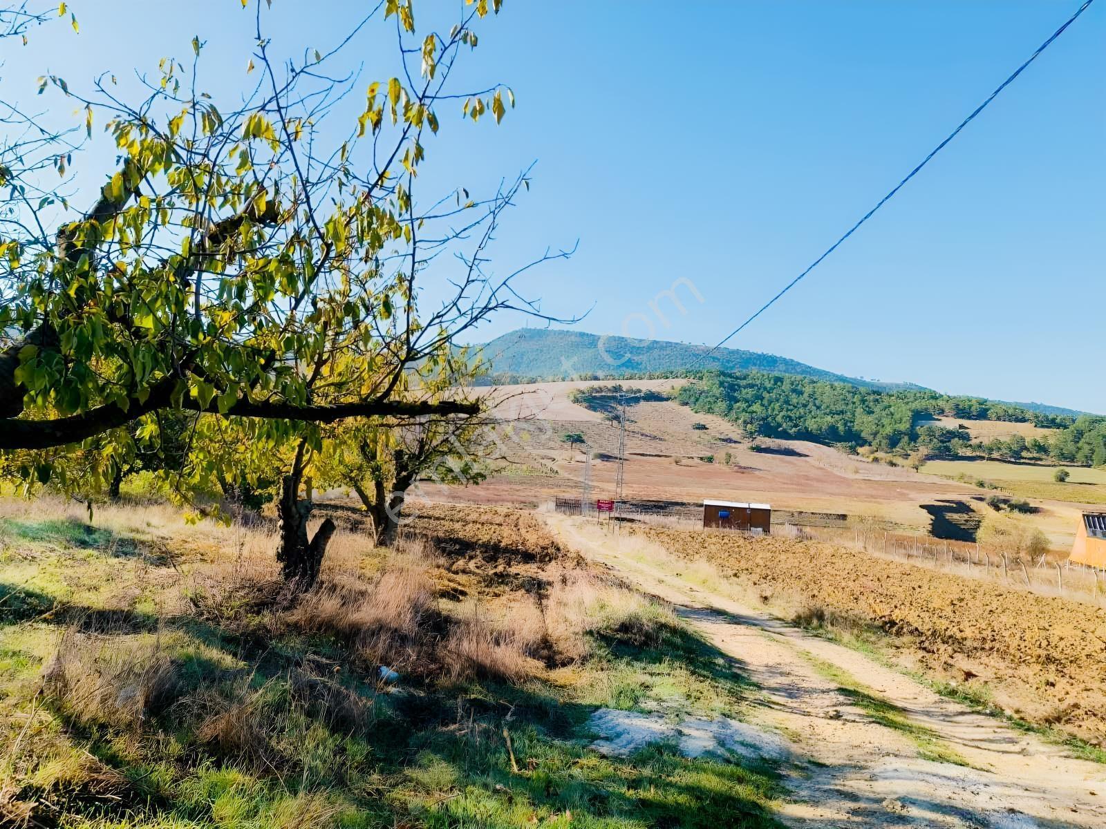 Geyve Akdoğan Doğramacılarda Baraj Manzaralı Yatırımlık — fotoğraf 27