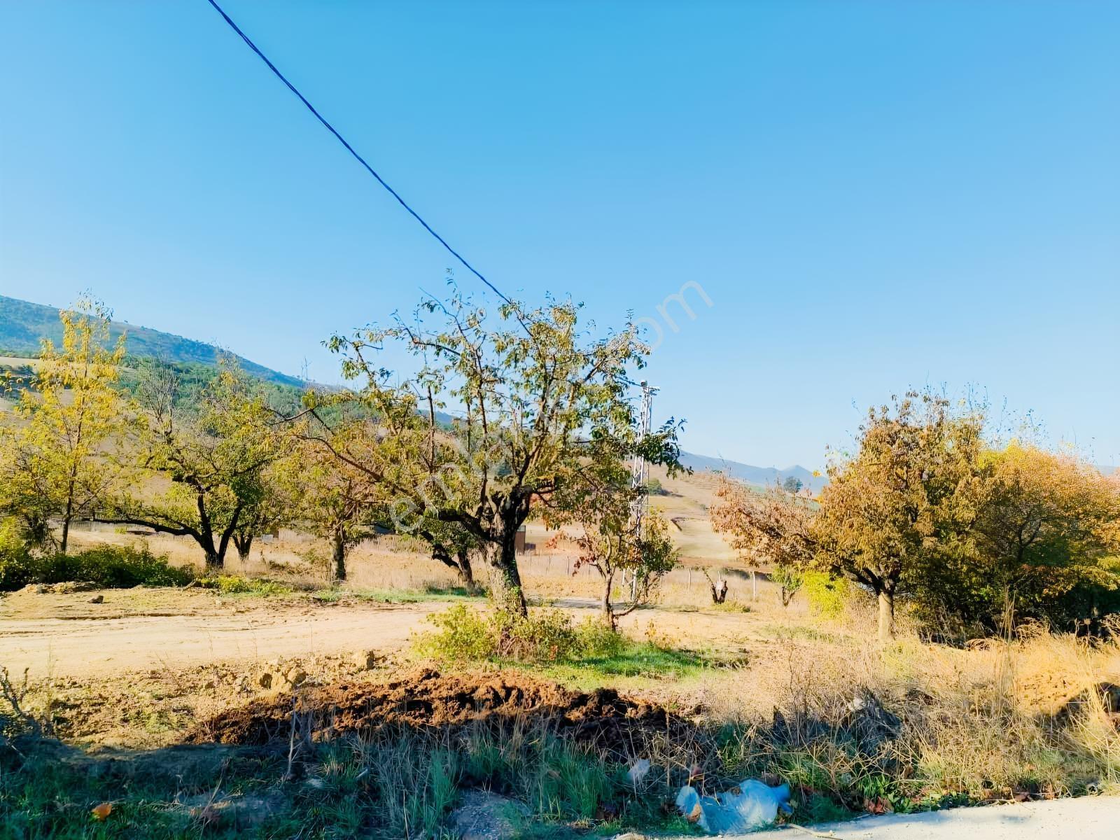 Geyve Akdoğan Doğramacılarda Baraj Manzaralı Yatırımlık — fotoğraf 28