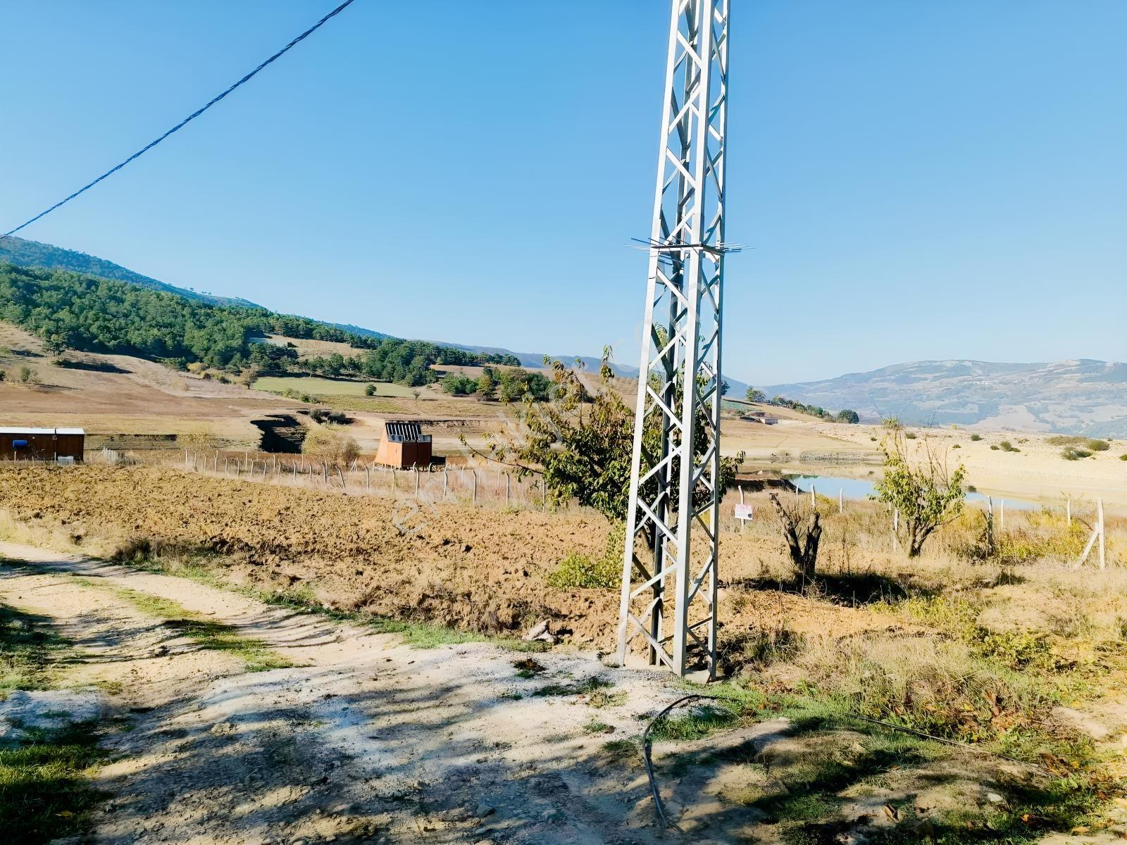 Geyve Akdoğan Doğramacılarda Baraj Manzaralı Yatırımlık — fotoğraf 30