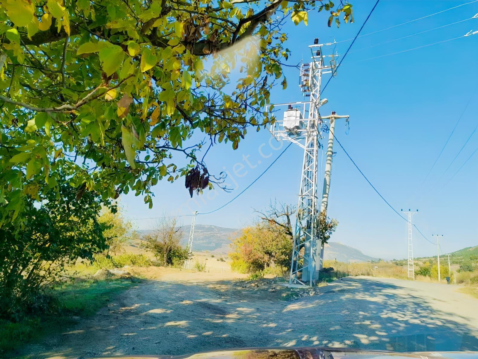 Geyve Akdoğan Doğramacılarda Baraj Manzaralı Yatırımlık — fotoğraf 32