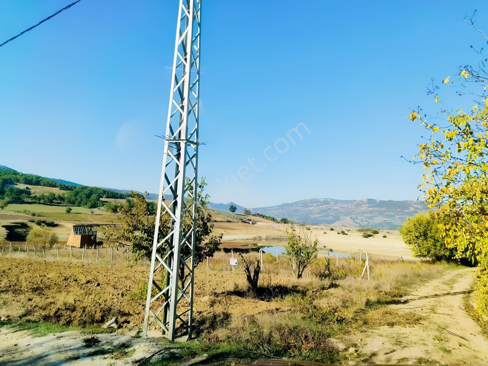 Geyve Akdoğan Doğramacılarda Baraj Manzaralı Yatırımlık — fotoğraf 33