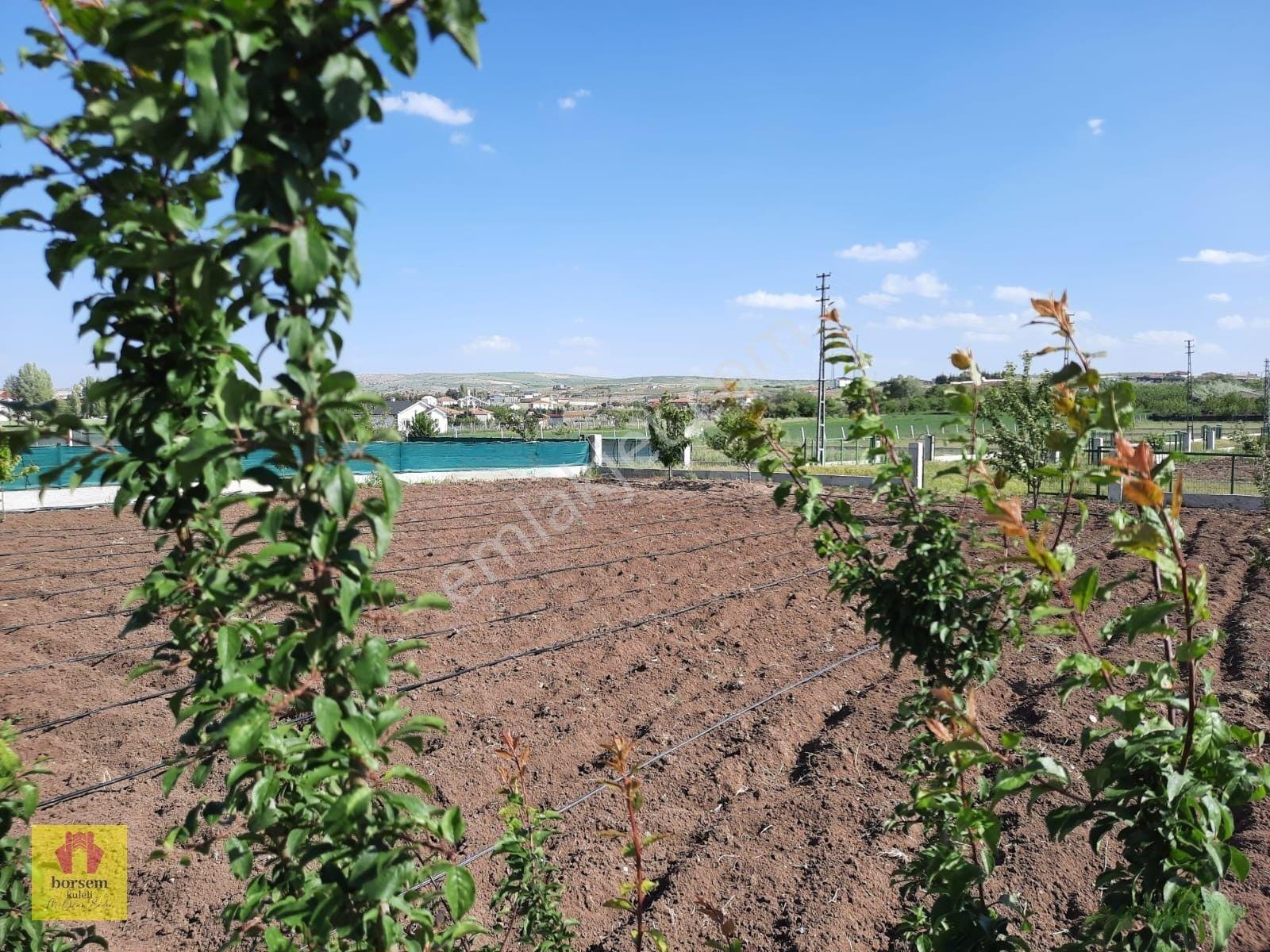 Gölbaşı Oyaca Doktorlar Hobi Bahcesi Köy Merkezinde Satılık Arsa — fotoğraf 5