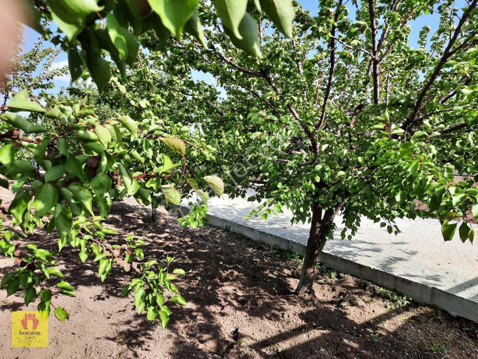 Gölbaşı Oyaca Doktorlar Hobi Bahcesi Köy Merkezinde Satılık Arsa — fotoğraf 22